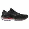 Mizuno Wave Inspire 19 Women's Running Shoes